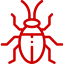 bug